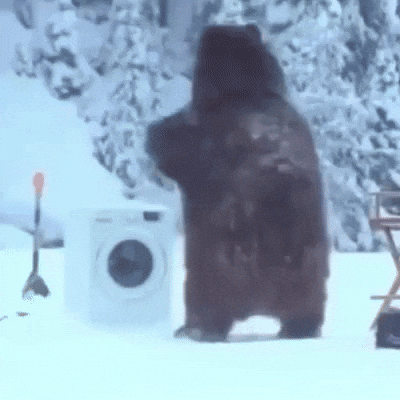 Wild Life Winter GIF by Respective