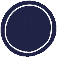 Udv Sticker by UDavinci