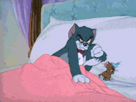 Tom And Jerry GIF