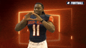 Cnfb GIF by Carson-Newman Athletics