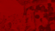 Bundesliga Intro GIF by Bayer 04 Leverkusen