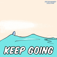 You Got This Dolphin GIF by VeeFriends