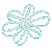 wedding flower Sticker by Bettybelts