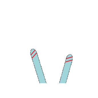 Apres Ski Christmas Sticker by Hobbii