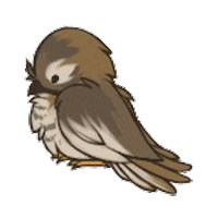 eyes bird STICKER