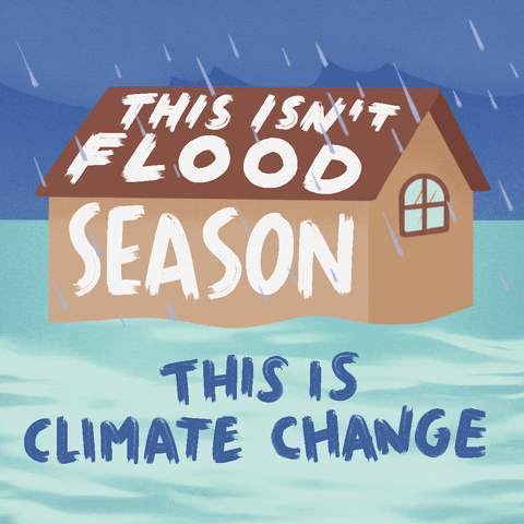 Climate Change Hurricane GIF by INTO ACTION