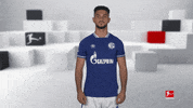 Posing Line Up GIF by Bundesliga