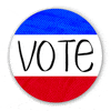 Voting Election 2020 GIF by Chris Olson