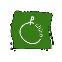 Logo Sticker by Chiro