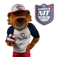 Volleyball Tc Sticker by TripleCrownSports