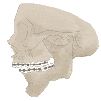 Face Head Sticker