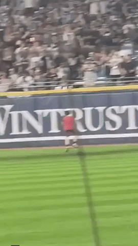 Child Runs Onto Field During Chicago Baseball Game