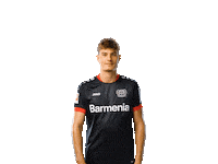 Hallo Bayer 04 Sticker by Bayer 04 Leverkusen