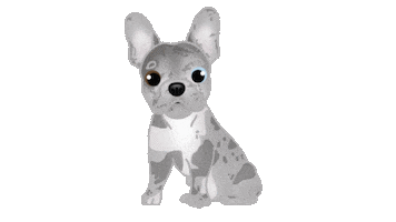 French Bulldog Sticker by zoopeez