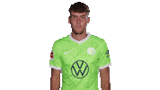 Fail Champions League Sticker by VfL Wolfsburg