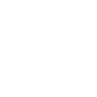 Bali Starfish Sticker by Wanderlustandco