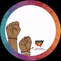 NSWALC naidoc always was always will be koori land rights GIF