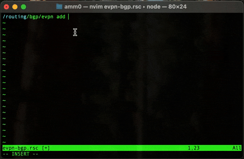 LSP running in NeoVim