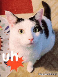 Oh No GIF