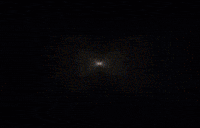 Meowl GIF