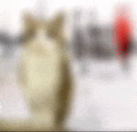 Syb Shut Up GIF