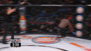 GIF by Bellator