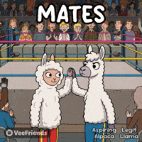 High Five GIF by VeeFriends