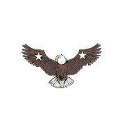 Fight Win Sticker by Shop Riffraff