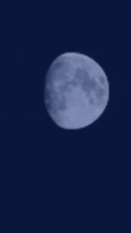 Simongip giphyupload GIF