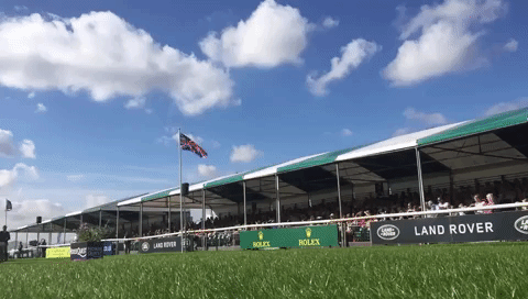 lrbht giphygifmaker GIF