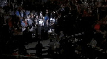 ufc sports sport ufc mma GIF