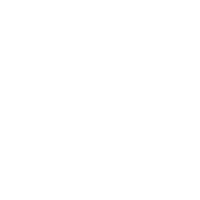 Illustration Star Sticker