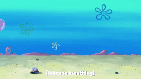 season 10 episode 6 GIF by SpongeBob SquarePants