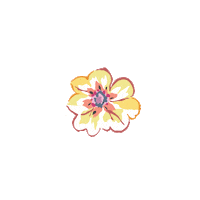 VeraBradley flowers yellow flower red flower orange flower Sticker