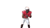 Clap Flex Sticker by Richmond Spiders