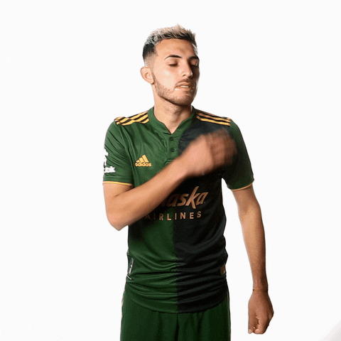 Portland Timbers Sport GIF by Timbers