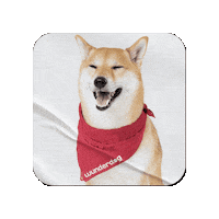 wunderdogae shiba wonderdog wonder dog wunderdog Sticker
