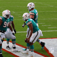 Regular Season Football GIF by NFL