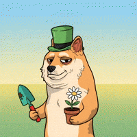 Shiba Inu Dog GIF by Doge Pound