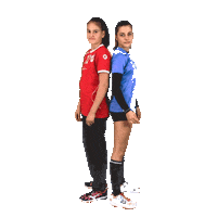 Handball Slovenia Sticker by RK Krim