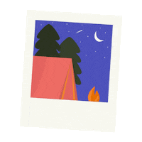 camping night sky Sticker by Hipcamp