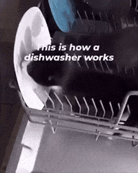 Cat Dishes GIF by Respective