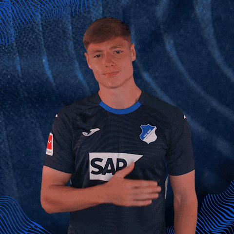 Sport Logo GIF by TSG Hoffenheim
