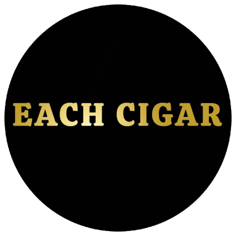 Velentinosiestocigars giphyupload fire smoke smoking Sticker