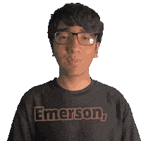 Emerson Sticker