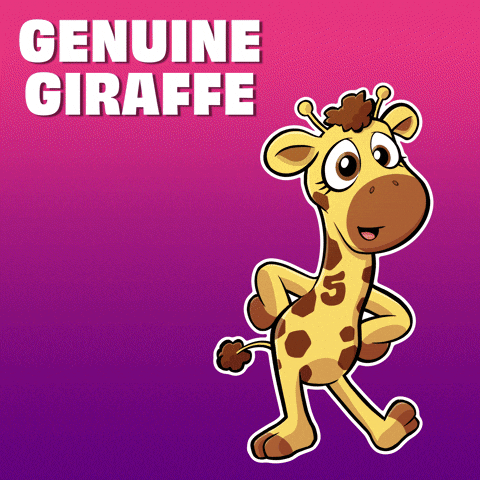 GIF by VeeFriends