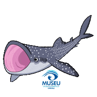 Polvo Mar Sticker by Universidade do Vale do Itajaí - Univali