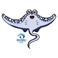 Polvo Mar Sticker by Universidade do Vale do Itajaí - Univali
