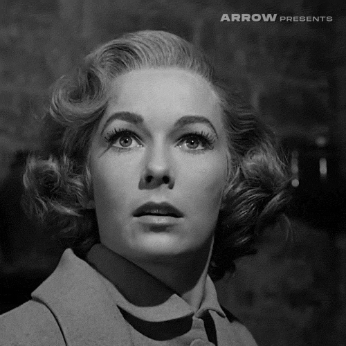 GIF by Arrow Video
