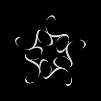 World Collection GIF by Stefan Fashion